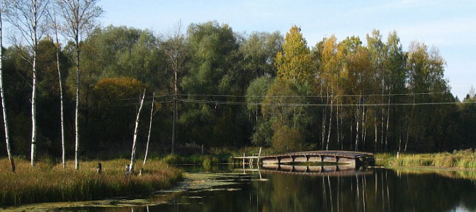 Орлова роща